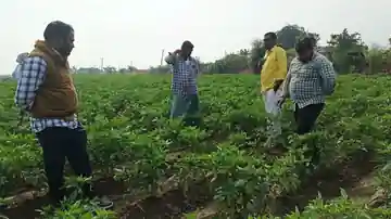 Foundation team speaking with a farmer inside a Telangana crop field