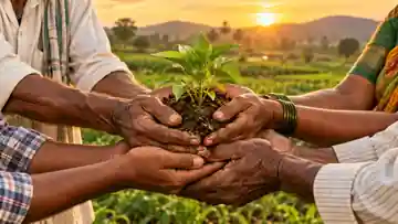 Farmers holding a young plant together in a field