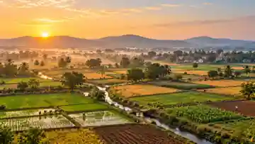 Telangana agricultural fields at sunrise